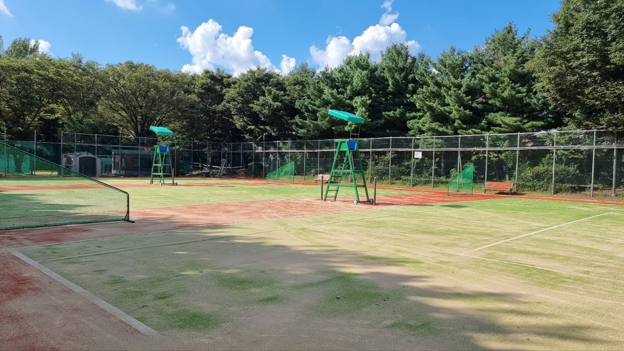 서울숲 테니스장 평일 대표 이미지