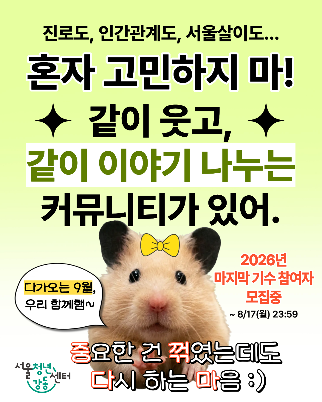 서울청년센터 강동 참여자 모집 대표 이미지