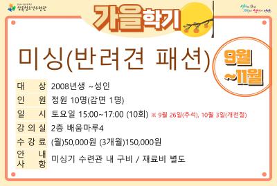 미싱(반려견패션)_가을학기(사회교육) 대표 이미지