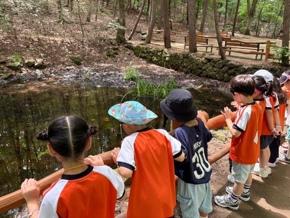 [노원구, 노원골 유아숲체험원] 시설체험(화~목, 오후 13시~15시) 대표 이미지