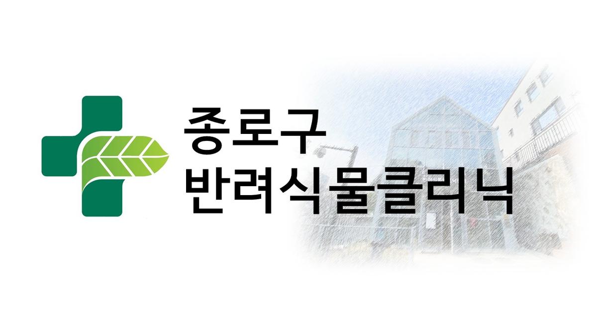 종로구 반려식물클리닉 방문예약 대표 이미지