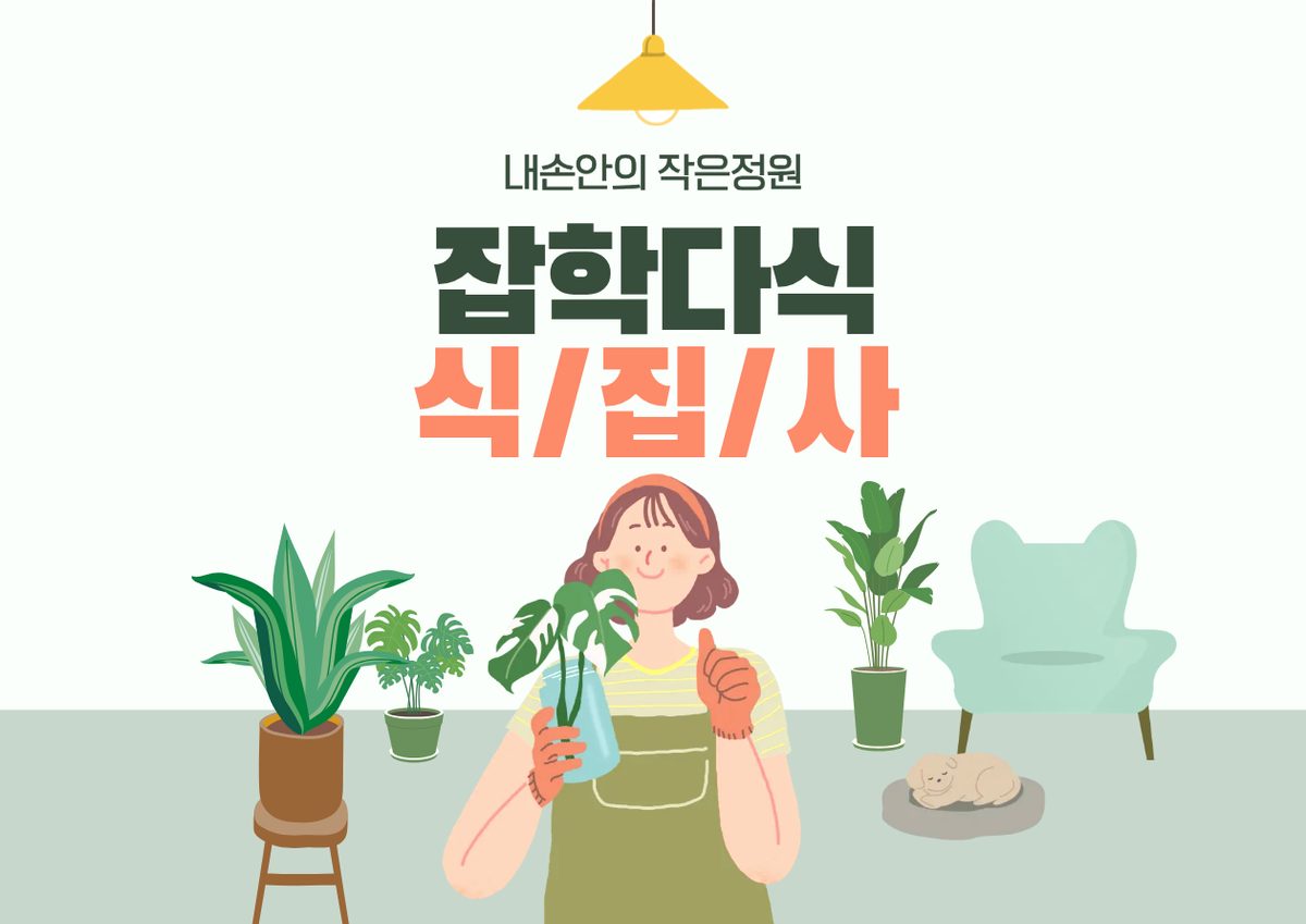 (수,일)잡학다식 식집사 대표 이미지