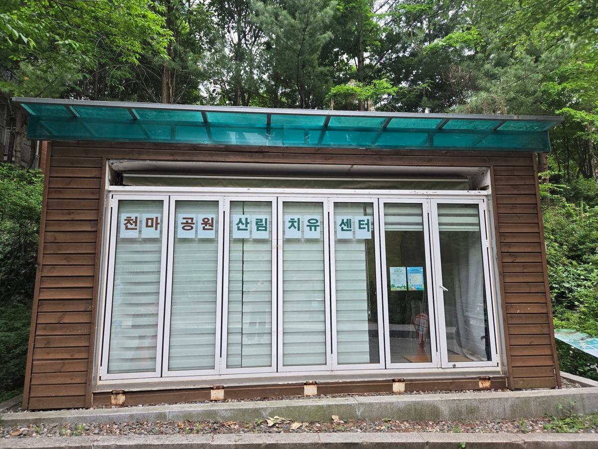 2026년 송파구 천마공원 산림치유프로그램 대표 이미지