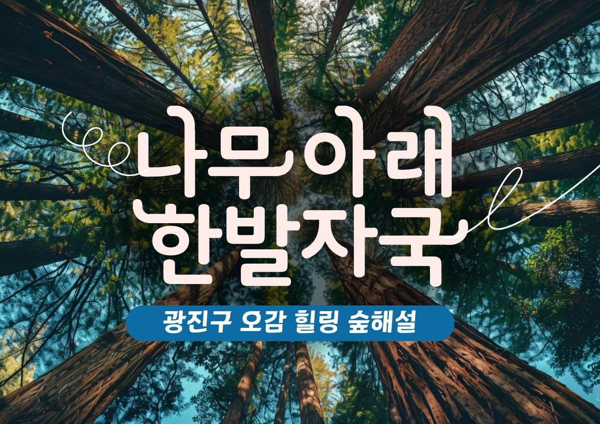광진구숲해설- 나무아래 힐링체험(5~11월) 대표 이미지
