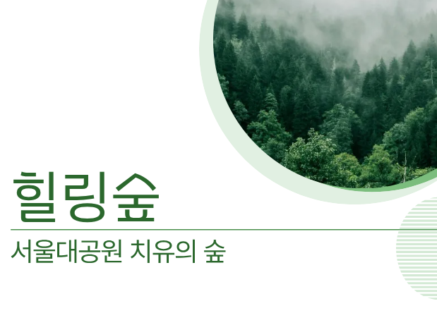 [치유의 숲길]서울대공원 치유의 숲, 힐링숲(단체용) 대표 이미지