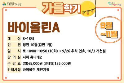 [감면]바이올린A_가을학기[사회교육_단원] 대표 이미지