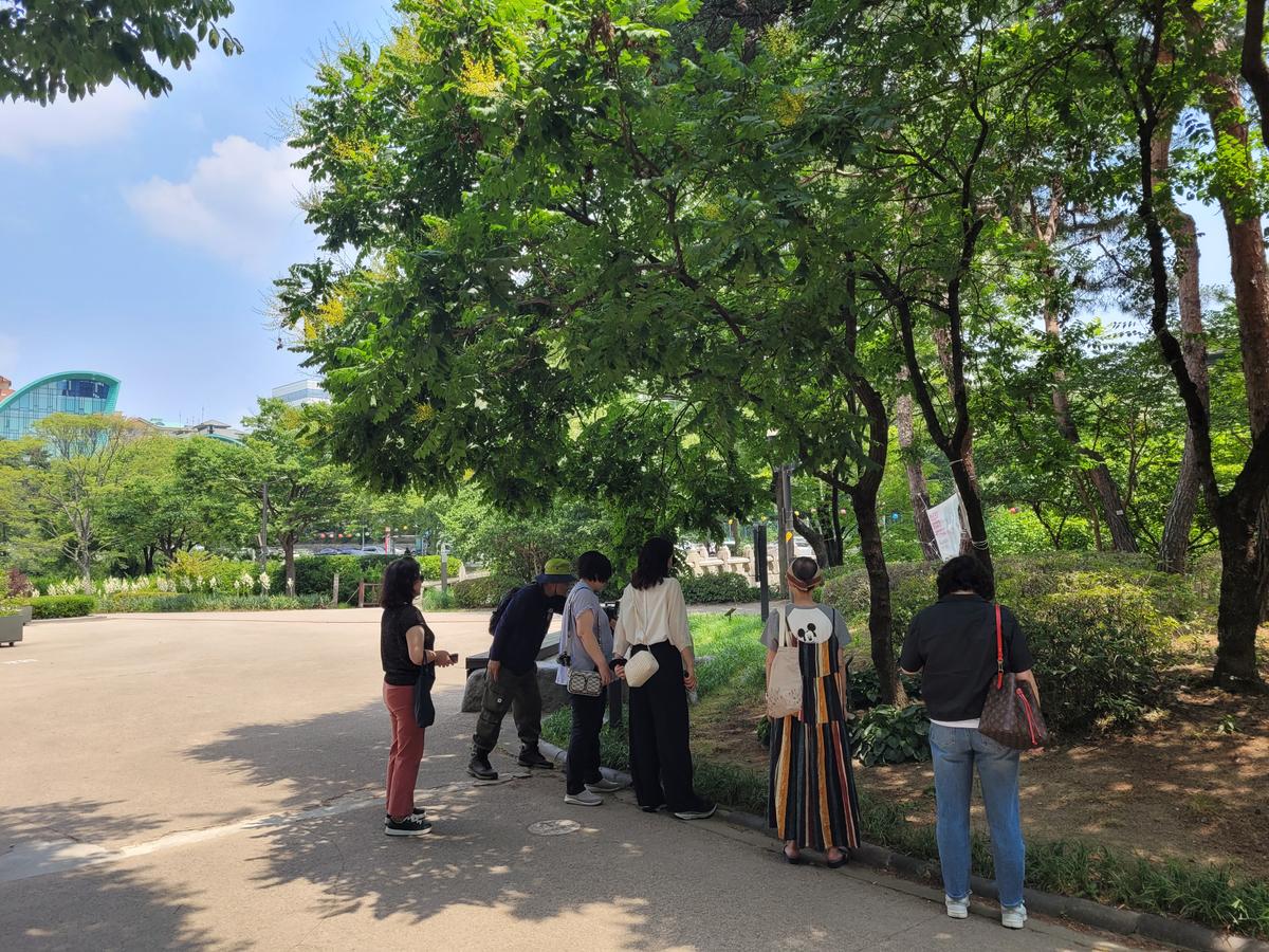 (주말)중구숲해설 장충단부터 남산까지 대표 이미지
