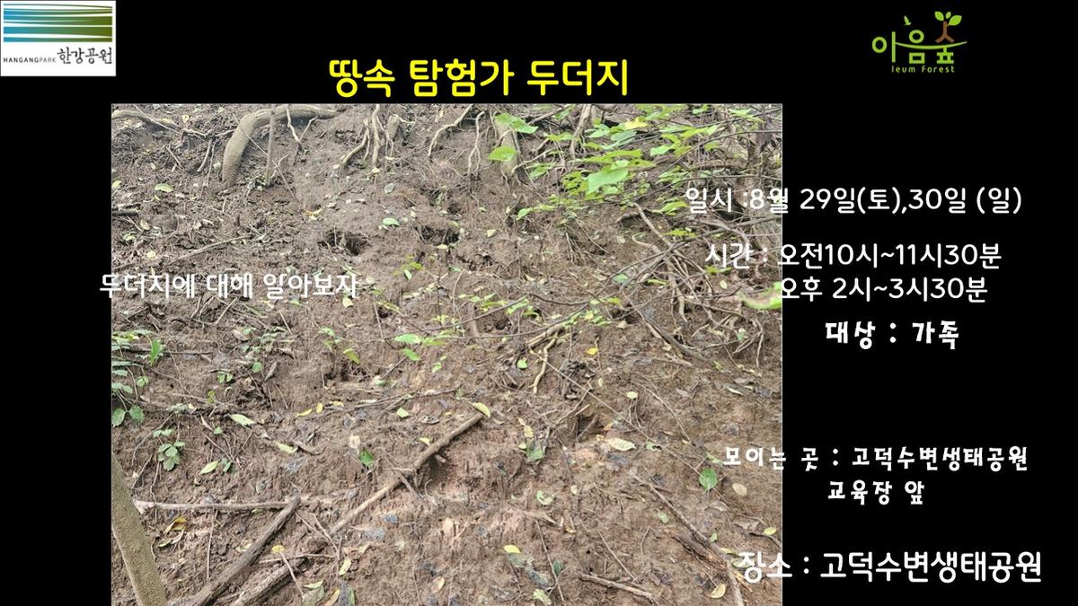 (고덕)(토)(일) 땅속탐험가 두더지 대표 이미지