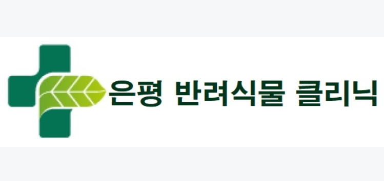 은평구 반려식물클리닉(7~9월) 대표 이미지