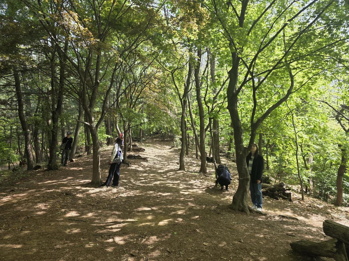 [광진구] 아차산 치유의 숲길- 8월 산림치유 프로그램 - 소방관, 경찰관 대표 이미지