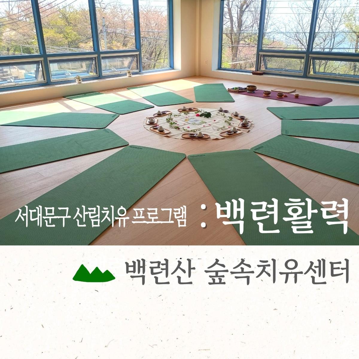 [서대문구민 우선] 8월 백련산숲속치유센터 [백련활력] 대표 이미지
