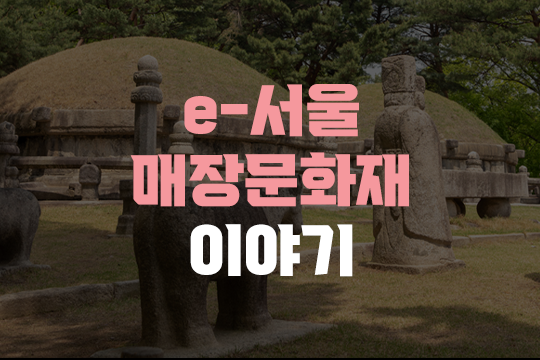 2022 e-서울 매장문화재 이야기 대표 이미지