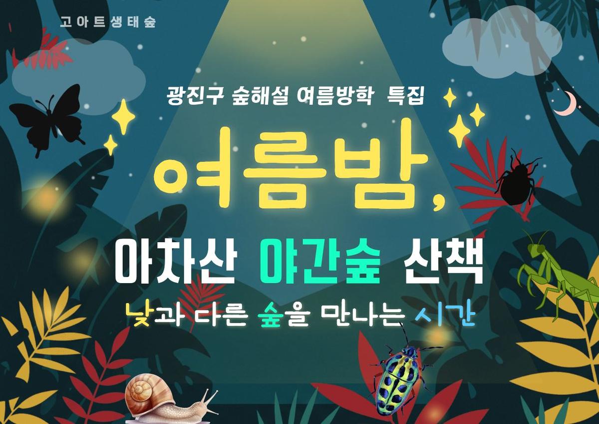 광진구숲해설- 여름밤, 야간숲 산책(7,8월) 대표 이미지