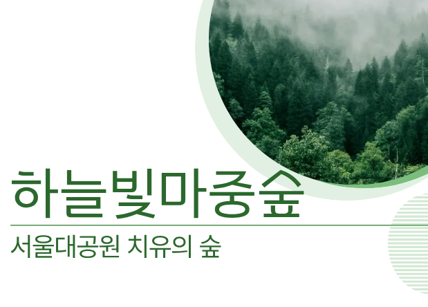 [치유의 숲길]서울대공원 치유의 숲, 하늘빛마중숲(개인용) 대표 이미지