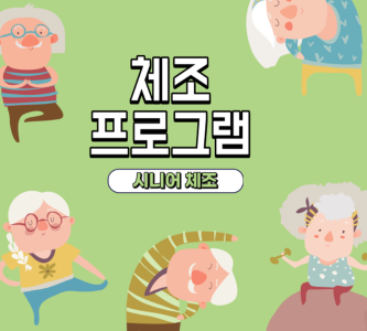 시니어 건강체조 대표 이미지