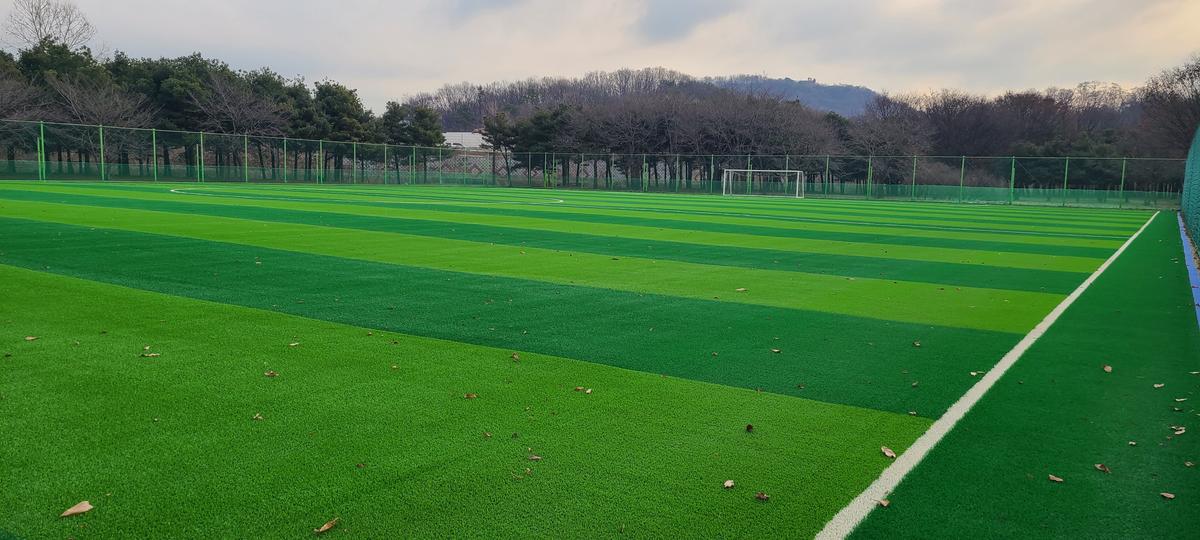 난지물재생센터 축구장 인조잔디 대표 이미지