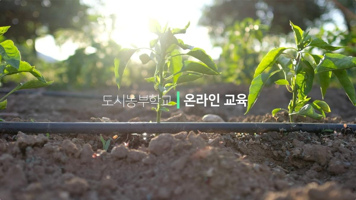 [농업기술센터] 도시농부학교 대표 이미지