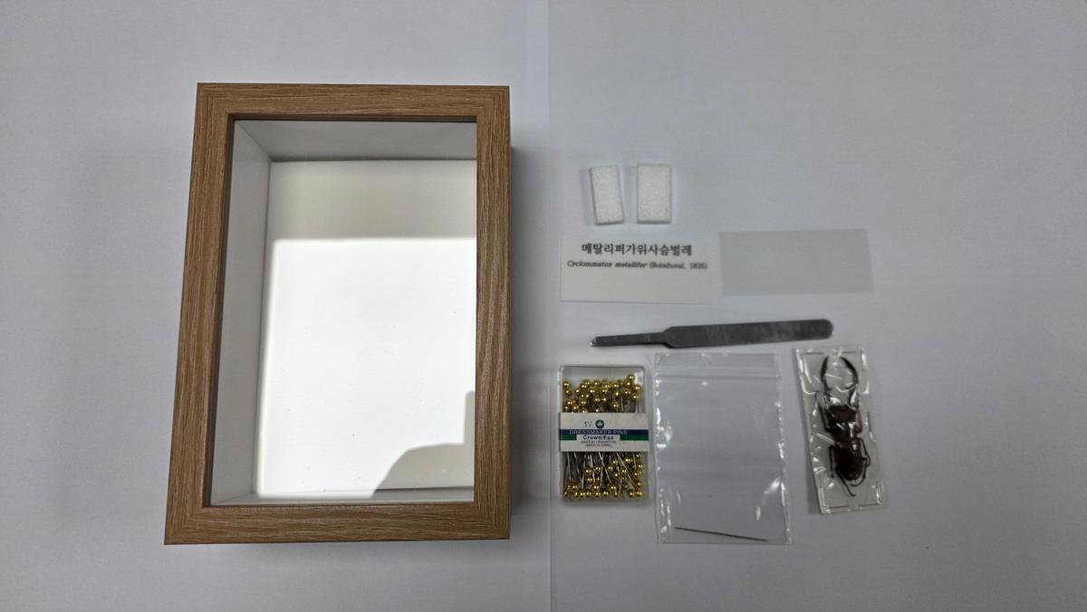 (9~12월) 불암산나비정원 대표 이미지