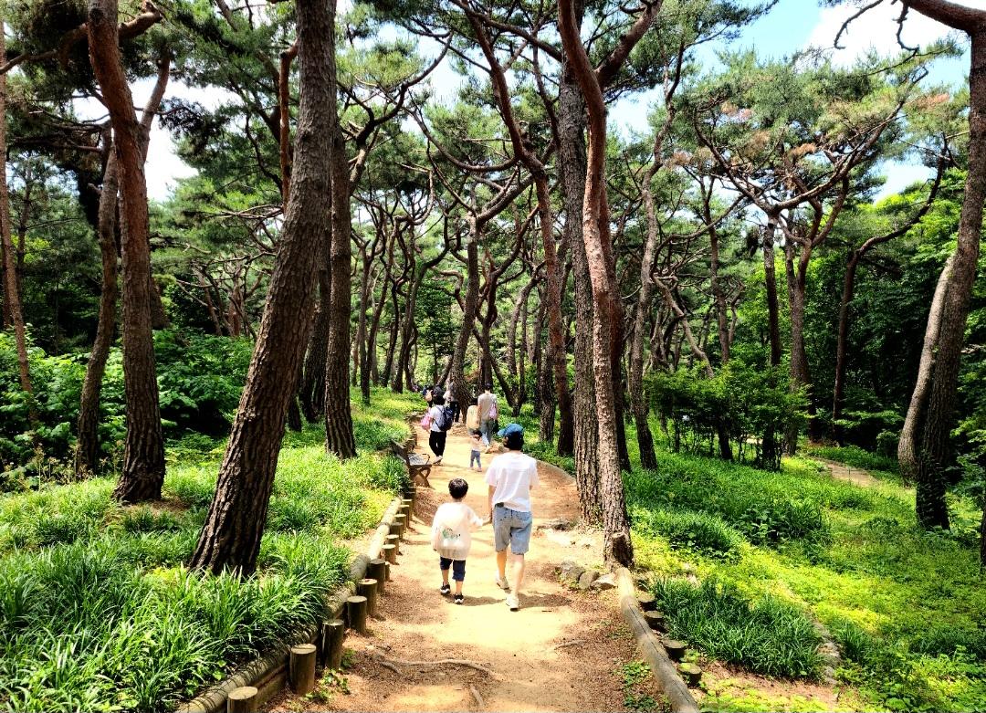 [광진구] 아차산 치유의 숲길- 8월 산림치유 프로그램(토)- 가족 대표 이미지