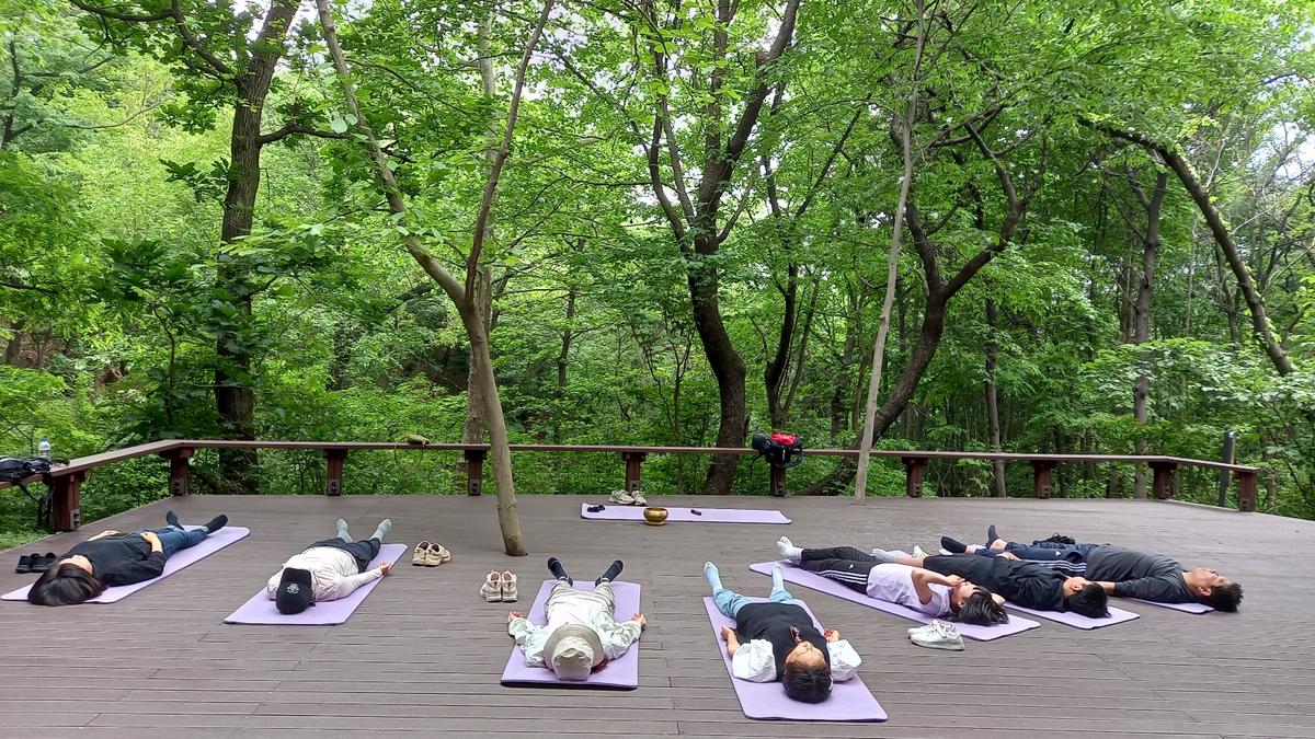 [광진구] 아차산 치유의 숲길- 8월 산림치유 프로그램 - 사회적 배려 대상자 대표 이미지
