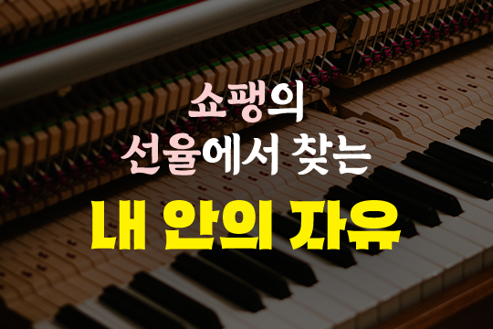 쇼팽의 선율에서 찾는 내 안의 자유 대표 이미지