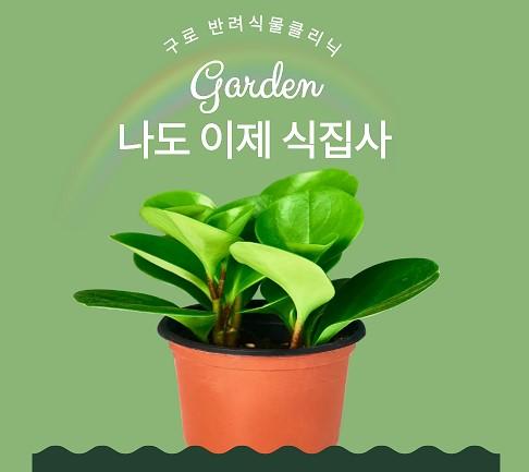 구로 반려식물클리닉 26년 8월 나도 이제 식집사 (8/13, 8/27) 대표 이미지