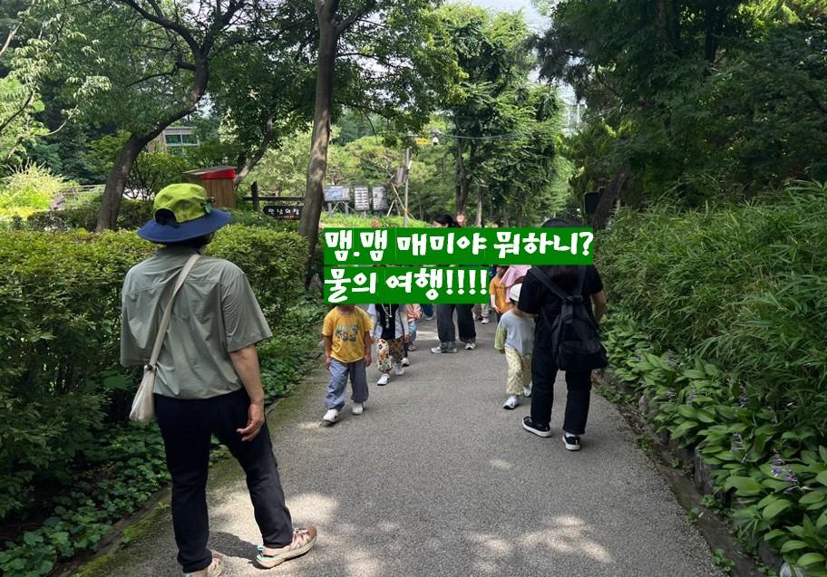 대모산 8월 행복한 숲 대표 이미지
