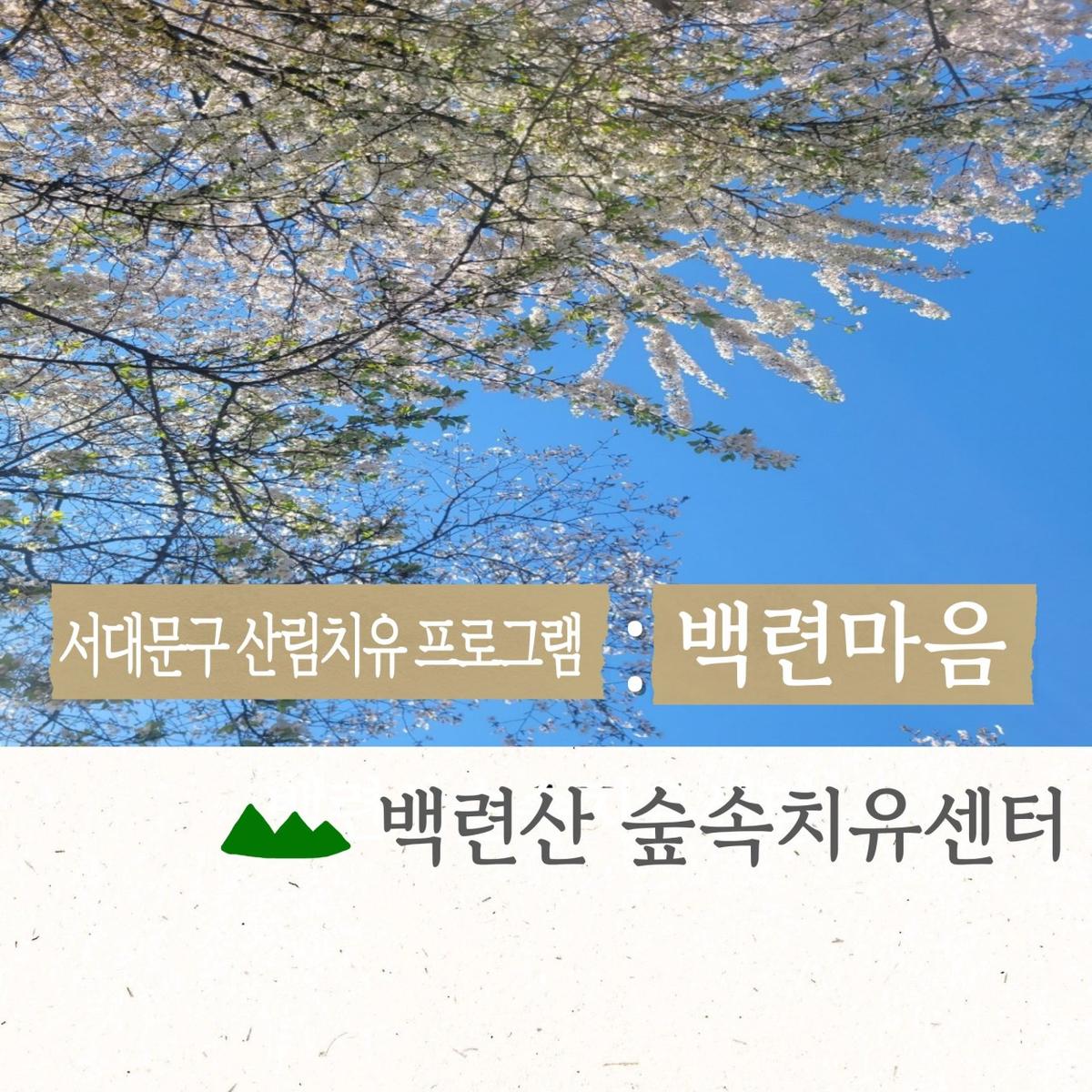 [서대문구민 우선] 8월 백련산숲속치유센터 [백련마음] 대표 이미지