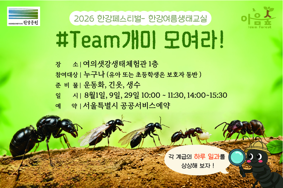 #Team 개미 모여라 대표 이미지