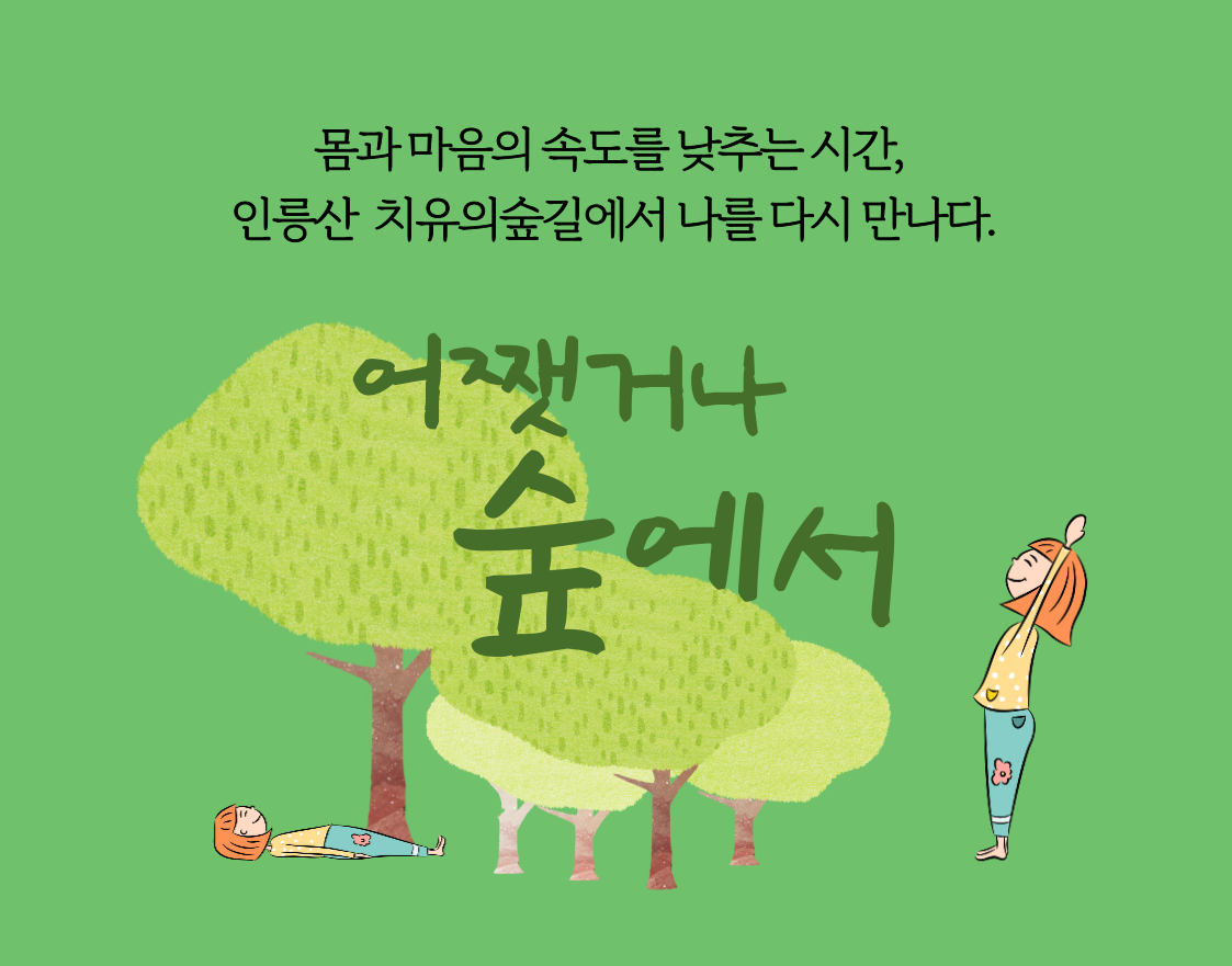 [서초구] 인릉산 치유의 숲 길 대표 이미지