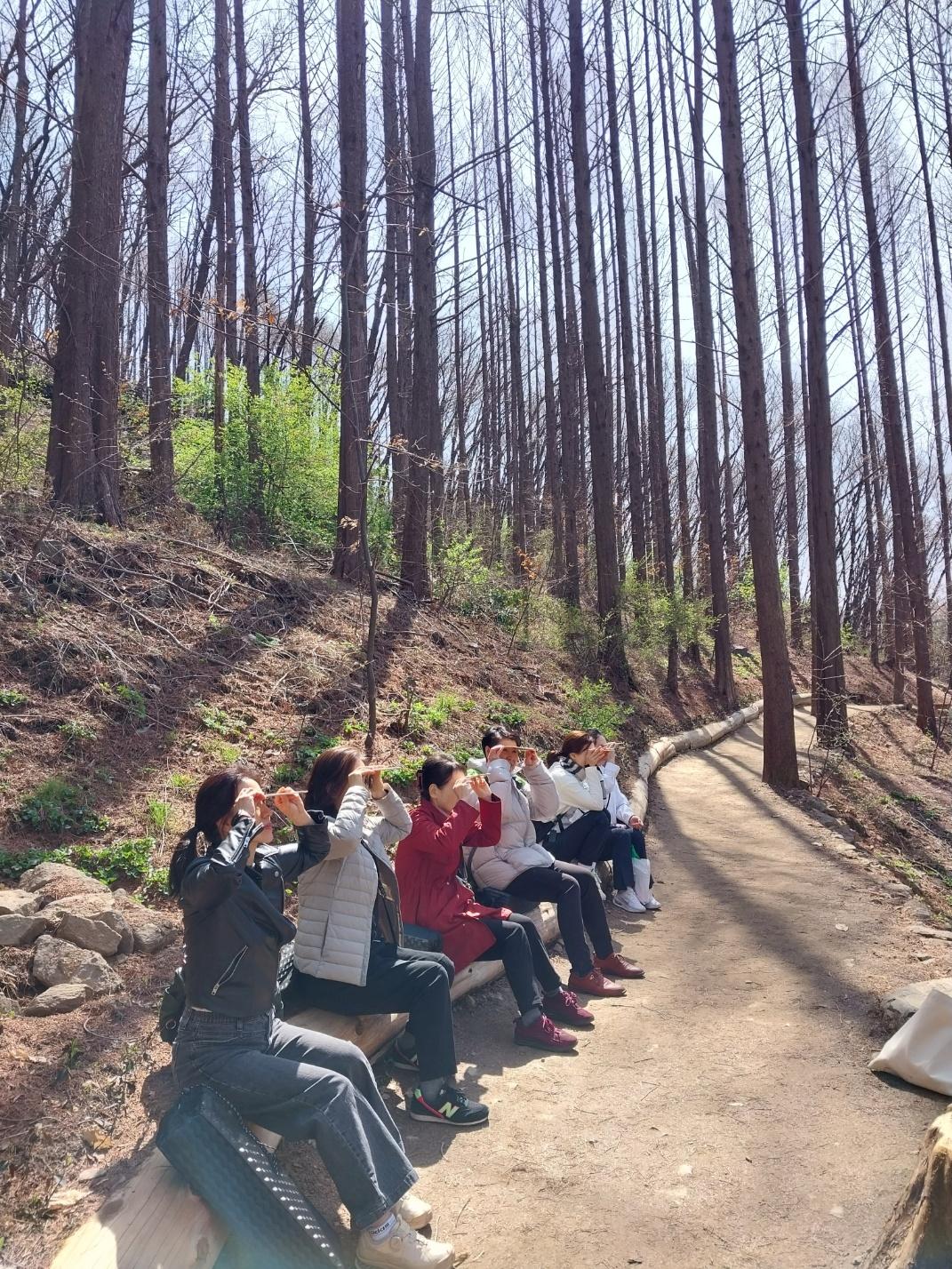 [서대문구] 안산치유의 숲길- 산림치유 '더싱싱숲' 대표 이미지