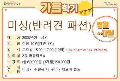 [감면]미싱(반려견패션)_가을학기(사회교육) 대표 이미지