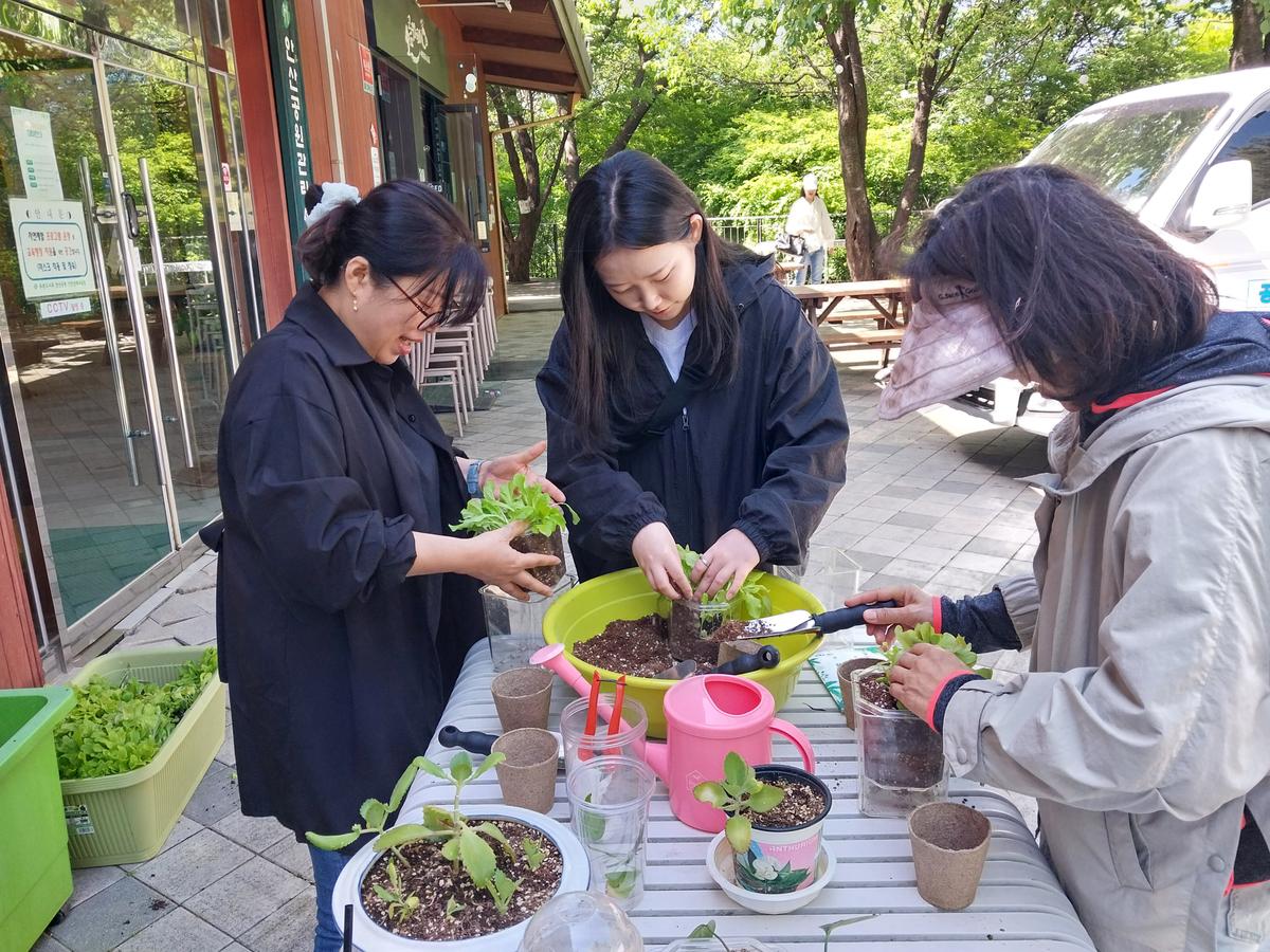 [서대문구] 안산치유의 숲길-정원치유 '흙에 살리라' 대표 이미지