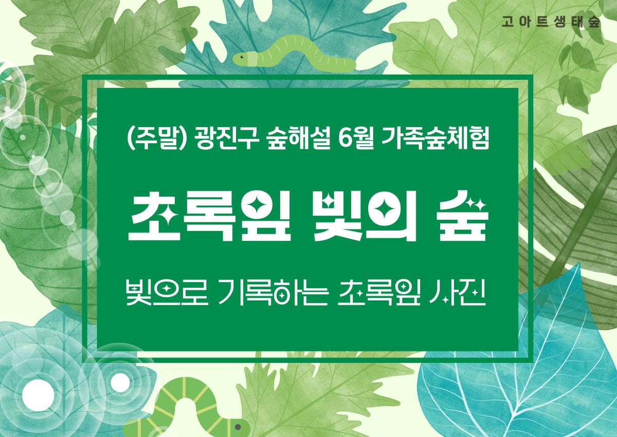 광진구숲해설-성인,가족 주말숲체험(6,7,8월) 대표 이미지
