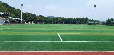 2-축구장 (호법면 체육공원내)-( 1 면) 대표 포스터