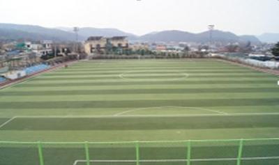 파평체육공원 인조잔디축구장 대표 포스터