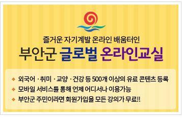 부안군 사이버 평생학습관(컴퓨터) 대표 포스터